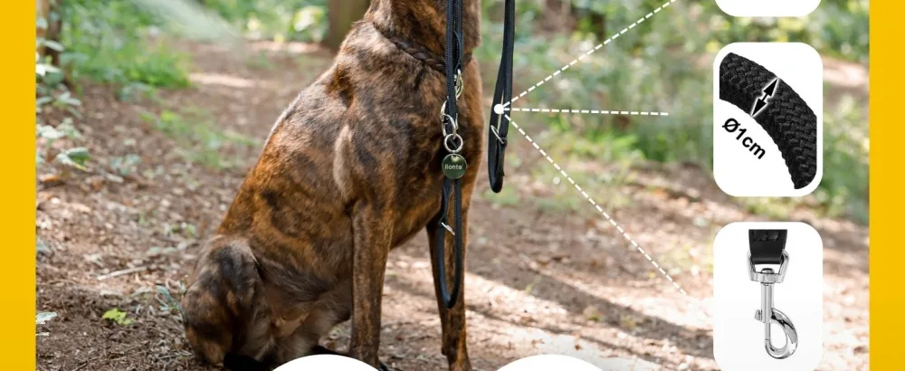 lionto Adjustable Dog Leash Multifunctional Leash Double Leash Shoulder Leash Robust Weatherproof Length 200 cm Black Black Medium - Hundeleine