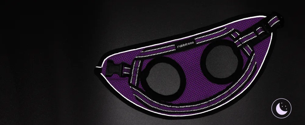 Rabbitgoo cat dishes with leash dishes cats outbreakingly adjustable soft with reflective stripes for cats kitten purple lil l l (1 Pack) purple - kitten