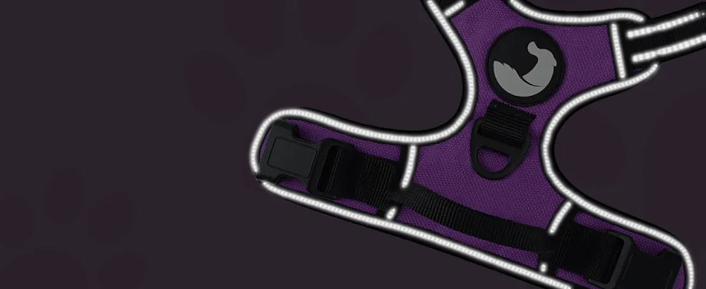 Joytale dog harness medium -sized dogs reflective soft padded dogs scrapes anti -train adjustable breathable breast dishes with safe simple control handle purple m m (1 Pack) purple - Hundegeschirr