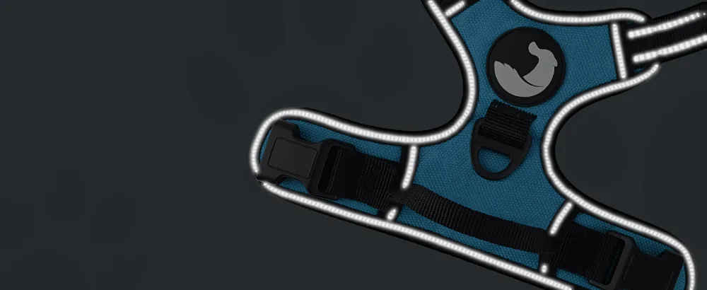 Joytale dog harness medium -sized dogs reflective soft padded dogs scrapes anti -train adjustable breathable breast dishes with safe simple control handle blue m m (1 Pack) blue - Hundegeschirr