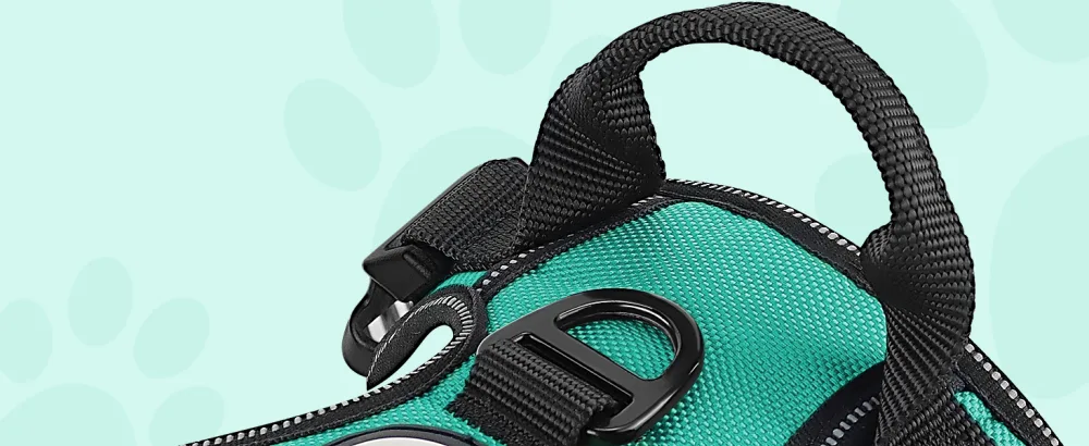 Joytale dog harness medium -sized dogs reflective soft padded dogs scrapes anti -train adjustable breathable breast dishes with safe simple control handle turquoise m m (1 Pack) turquoise - Hundegeschirr