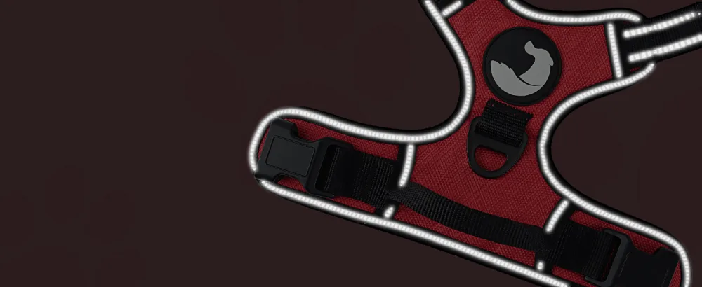 Joytale dog harness Small dogs reflective soft padded dogs curve ant zug adjustable breathable breast dishes with safe simple control handle red s s (1 Pack) red - Hundegeschirr