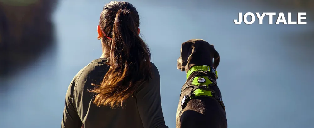 Joytale dog harness medium -sized dogs reflective soft padded dogs scrapes anti -train adjustable breathable breast tableware with safe simple control handle green m m (1 Pack) green - Hundegeschirr