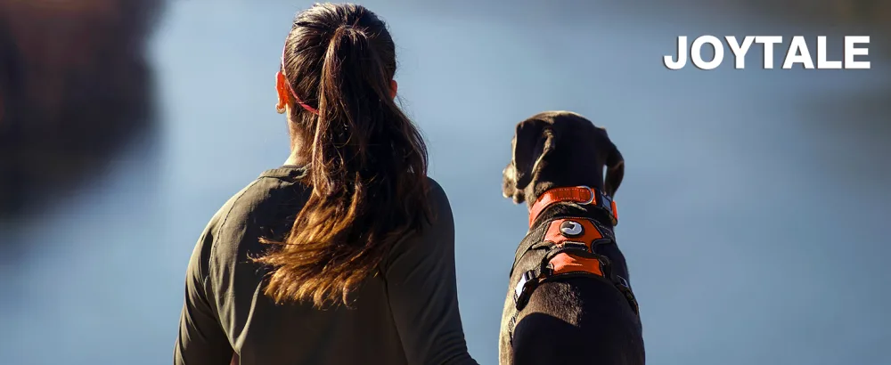 Joytale dog harness medium -sized dogs reflective soft padded dogs scrapes anti -train adjustable breathable breast dishes with safe simple control handle orange m m (1 Pack) orange - Hundegeschirr