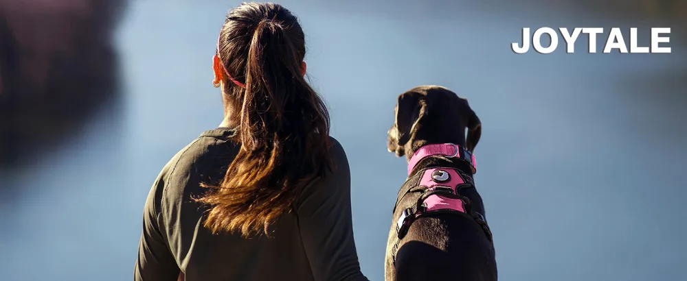 Joytale dog harness medium -sized dogs reflective soft padded dogs scrapes anti -train adjustable breathable breast tableware with safe simple control handle pink m m (1 Pack) pink - Hundegeschirr