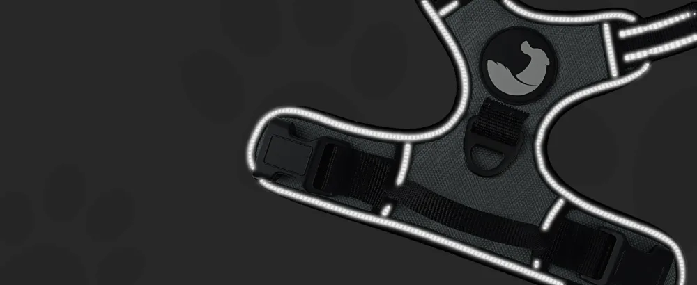 Joytale dog harness Small dogs reflective soft padded dogs scrapes anti -train adjustable breathable breast dishes with safe simple control handle gray s s (1 Pack) gray - Hundegeschirr