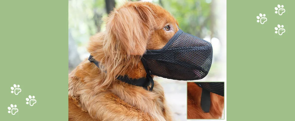 Muzzle for dogs soft muzzle for small medium-sized and large dogs adjustable puppy muzzles for catching bite licking and chewing enables blacks and drink Black L- (snout: 10 "-12 ") - basket muzzle for dogs