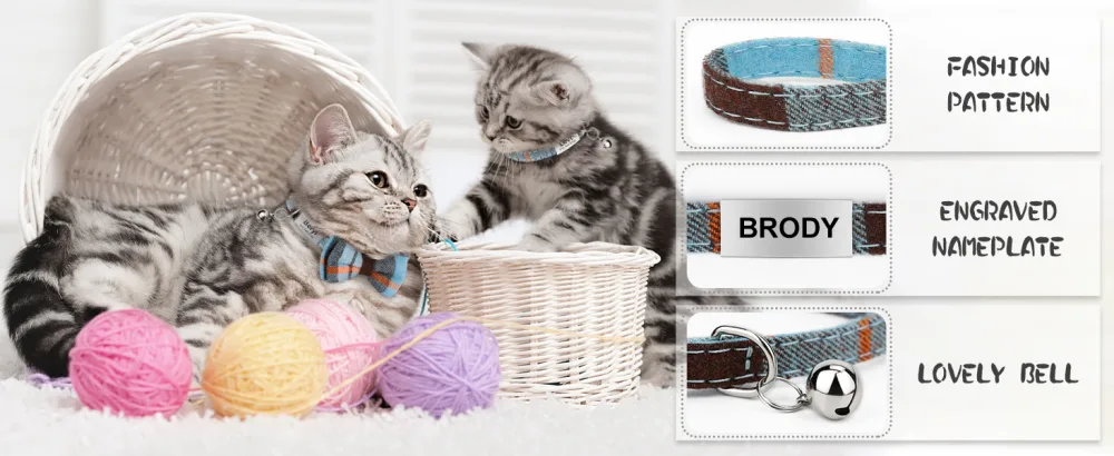 Tagme cats collars with names and telephone number kitten collar with safety closure and bell haze 1 -pack haunted blue - cat collar