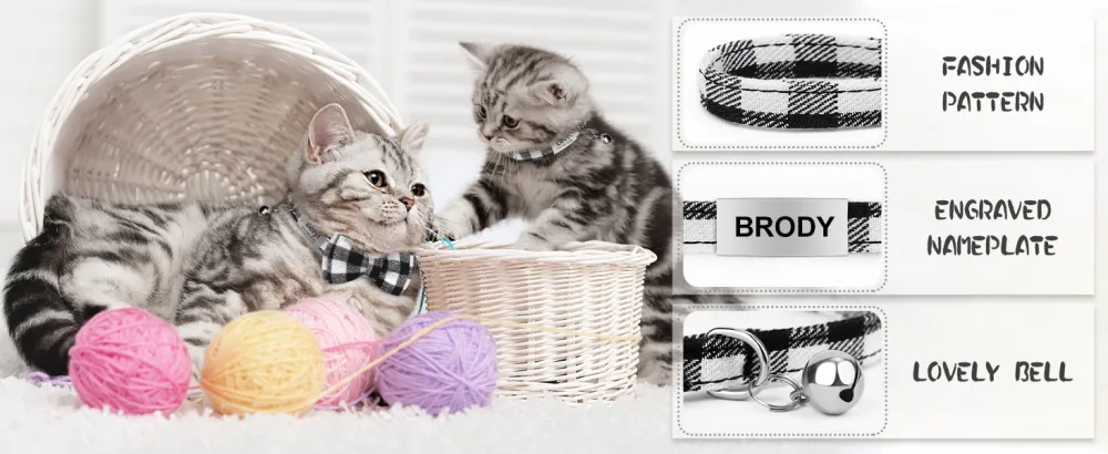 Tagme cats collars with names and telephone number kitten neck band with safety closure and bell black 1 pack black - cat collar