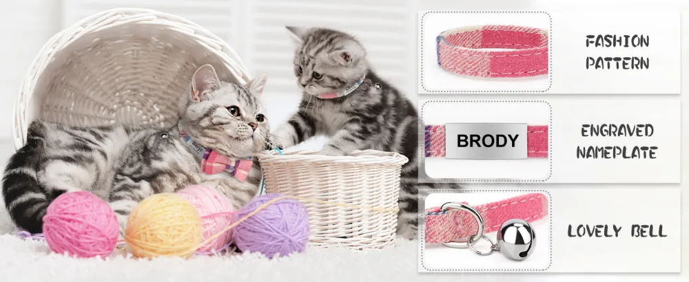 Tagme cats collars with names and telephone number kitten collar with safety closure and bell pink 1 -pack 1 Pack pink - cat collar