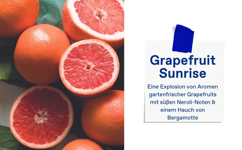Corrres grapefruit Sunrise revitalizing shower gel with active aloe vera dermatologically tested vegan 250 ml grapefruit 250 ml (1 Pack) - Grapefruit Sunrise