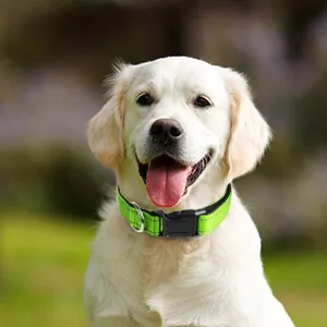 Joytale Dog Collar Reflective Dog Collar for Medium-Sized Dogs M Green M (Pack of 1) Green - big dog collar