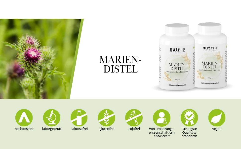 Nutri + Mary thistle Artichoke Dandeline complex - 60 capsules highly dose with Silymarin Cynarin - Mary thistle capsules Mary thistle extract Art talcon extract Liene extract 38 g (1 Pack) - Mariendistel