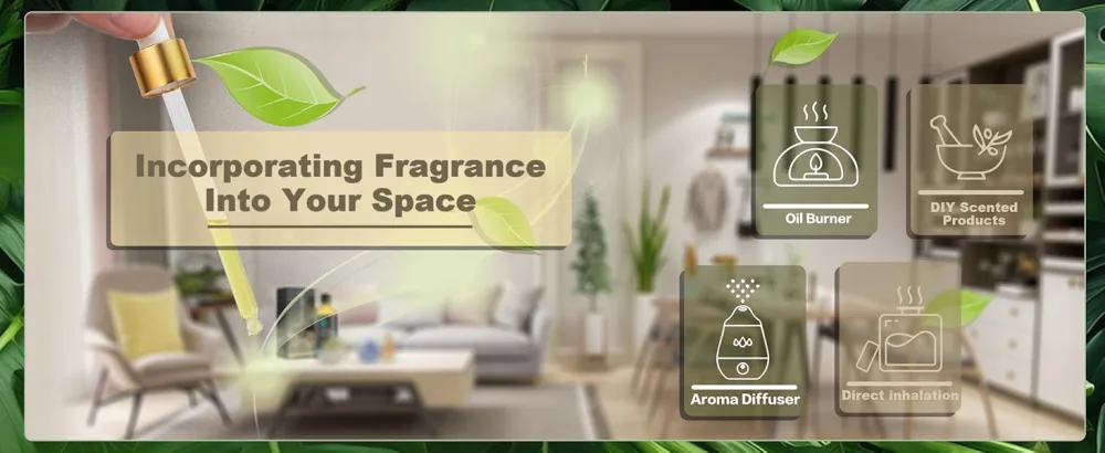 MAYJAM Cajeput Essential Oil 100ML Cajeput Oil for Diffuser Humidifier DIY Home Wardrobes Cajeput 100 ml (Pack of 1) - Ätherisches Öl