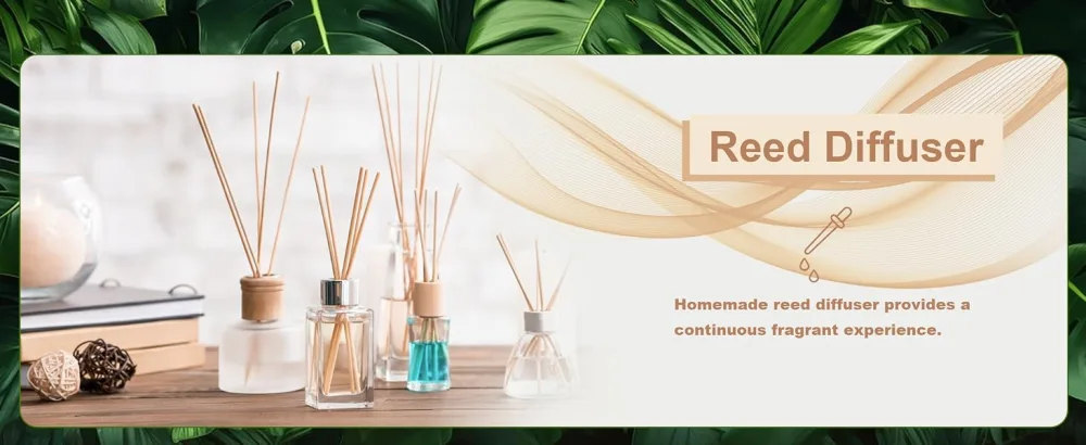 MAYJAM Cypress Essential Oil 100ML Cypress Oil for Diffuser Humidifier DIY Home Wardrobes Cypress 100 ml (Pack of 1) - MAYJAM Ätherisches Öl