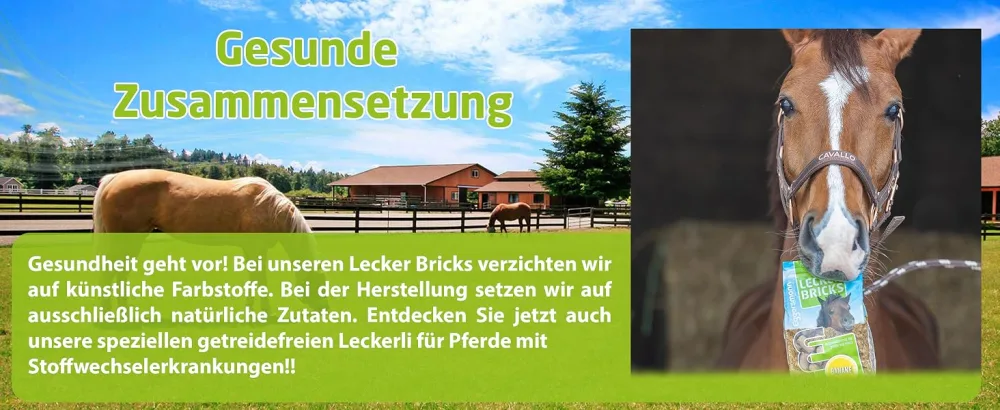 Eggersmann delicious bricks raspberry - horseecker raspberry - treats for horses and ponies - 1 kg bag raspberry 1 kg (1 Pack) - mineral bricks pferd beschäftigung pferdesnacks pony reiter pferdemuesli ohne zucker