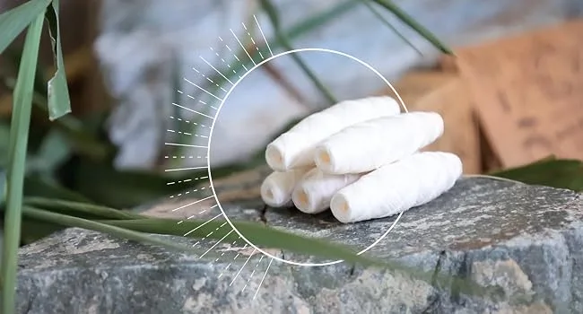 Nature Nerds Refill pack: plastic-free natural dental floss waxed with Candelilla 5 spools for refilling 150 m (150) - Zahnseide plastikfrei