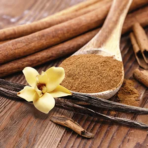 Spitzner Sauna infusion Vanilla-cinnamon Sensual 190 ml-wellness sauna for home sensual sauna for warmth and security natural sauna concentrate - vanille-zimt