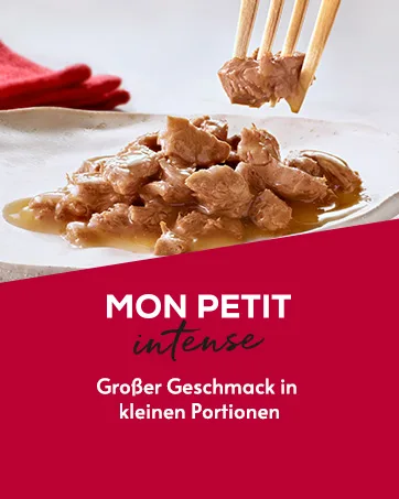 GOURMET recommendations | Muslin with salmon | Meals for adult cats | 4 x 57 g 228 g (1 pack) - GOURMET Mon Petit