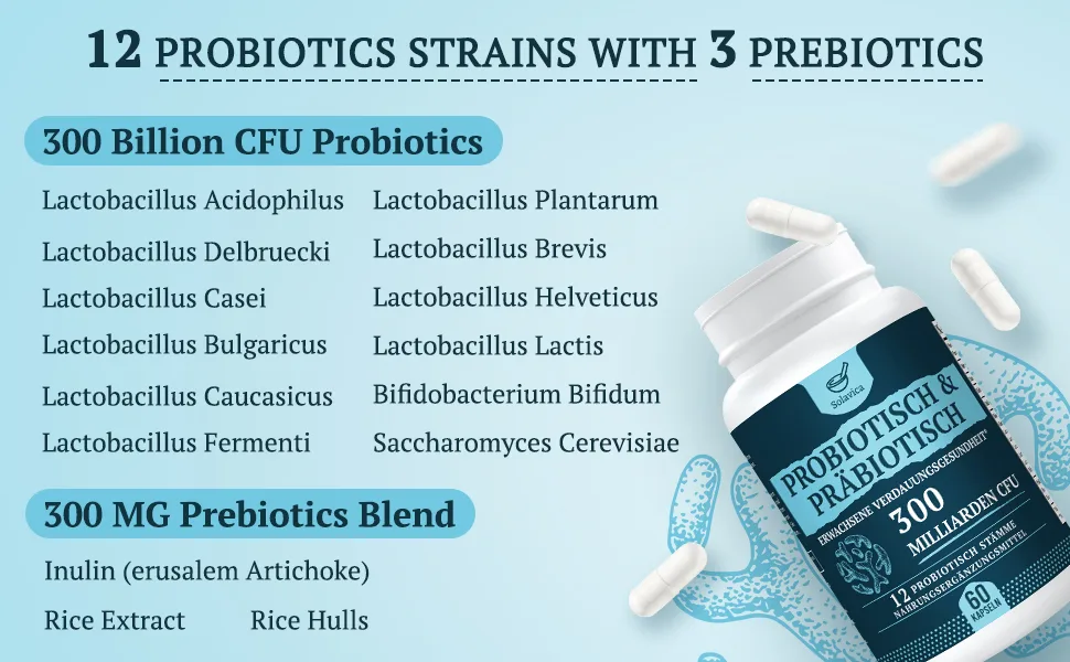Probiotics with 300 billion KBE high-doses probiotics capsules intestinal flora structure complex etc. with lactobacillus & bifidobacteria (60 pieces (1-pack)) 60 pieces (1 Pack) - Probiotika