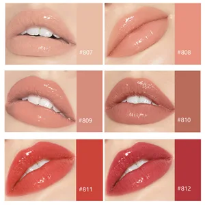 MAEPEOR Light Lipgloss 6PCS Moisturizing and Shiny Lip Gloss Nourishing Plumping Glossy Lipgloss (6PCS Set A) - Available In 6 Shades B