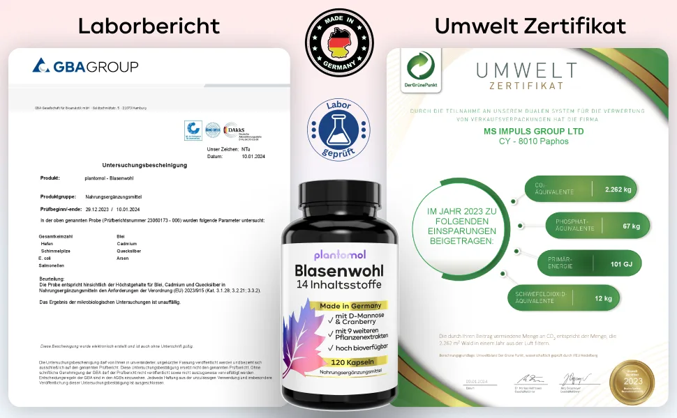 120 Bubble welfare capsules - bubbles complex with 14 coordinated ingredients such as D -Mannose Cranberry Hauhechel root Goldrod Bear grape leaves Bean shells & birch leaves - vegan - Plantomol 120 pieces (1 Pack) - Optimieren Sie Ihre Blasengesundheit mit unseren Kapseln
