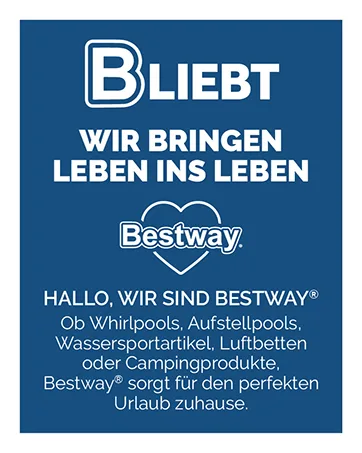 Bestway 58093P filter cartridge size. I pack of 2 - Bliebt