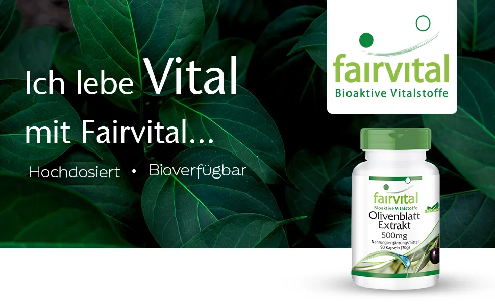 Fairvital | Olive leaf extract 500mg - HIGH DOSE with 20% oleuropein - VEGAN - Olea europaea - 90 capsules - Fairvital
