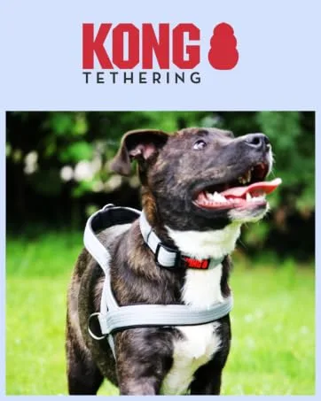 Cong roll-out dog leash in 5m length I For medium-sized dogs up to 30 kg i size M i high-quality roller linen in red with break & lock system i light & compact guide leash medium red - KONG Tethering