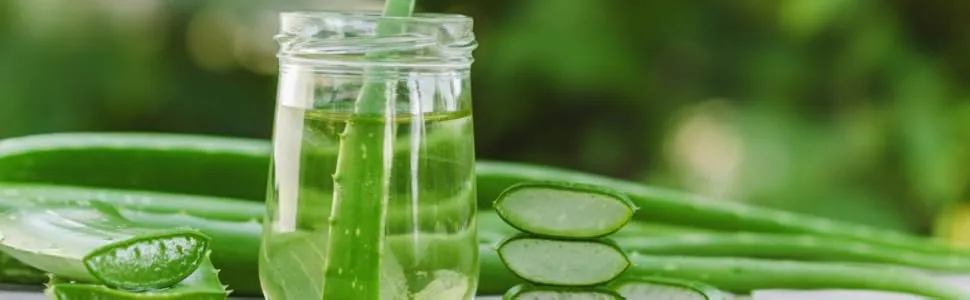 Benessence - aloe juice: aloe vera juice with real pulp - not pasteurized and unfiltered - 1l aloe vera juice with real pulp 1 l (1 Pack) - aloe