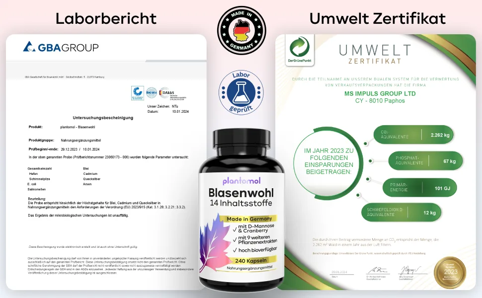 240 Bubble welfare capsules - bubbles complex with 14 coordinated ingredients such as D -Mannose Cranberry Hauhechel root Goldrod Bear grape leaves Bean shells & birch leaves - vegan - Plantomol 240 pieces (1 Pack) - Optimieren Sie Ihre Blasengesundheit mit unseren Kapseln