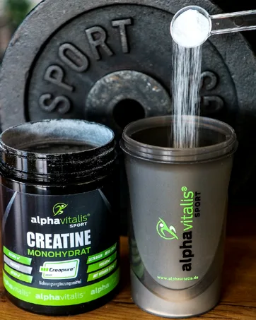 Post Workout Shake - 1500g Lemon - with Maltodextrin - Whey Protein - EAA (essential amino acids) creatine monohydrate L -glutamine magnesium and much more.- Post Workout Drink - Made in Germany Lemon 1.5 kg (1 Pack) - AlphaVitalis/ Holt Nutrition