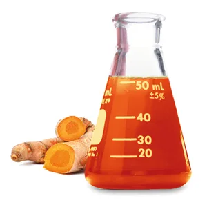 Acurmin Ferment Fermented Organic Turmeric Powder with Postbiotic Effects 1g Turmeric Powder (Pack of 3) 120g (Pack of 3) - ACURMIN ferment