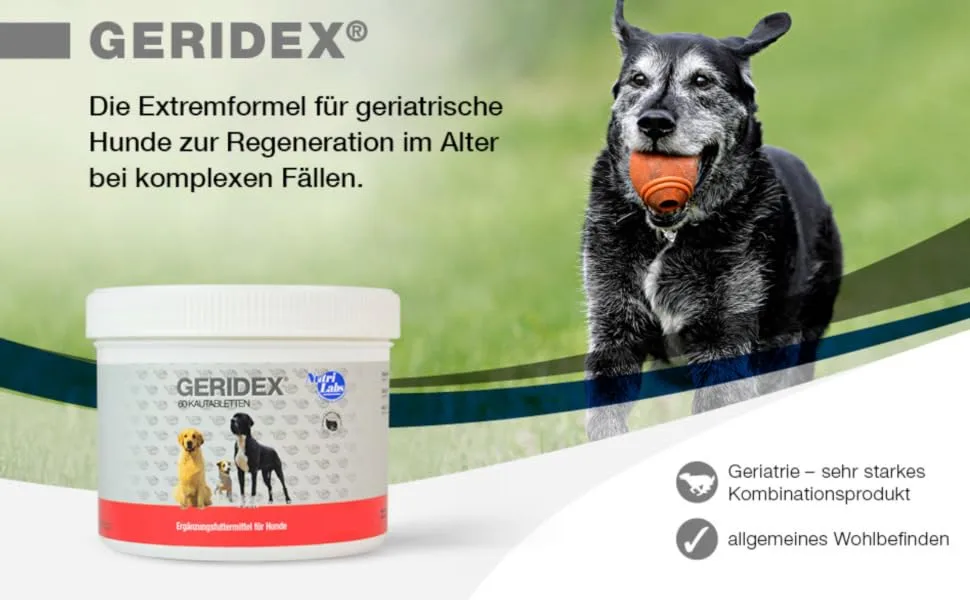 Nutrilabs Geridex tablets for senior dogs 60 pcs.- Senior tablets for dogs with glucosamine hawthorn and much more - geridex