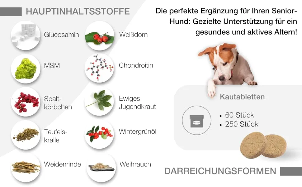 Nutrilabs Geridex tablets for senior dogs 60 pcs.- Senior tablets for dogs with glucosamine hawthorn and much more - geridex