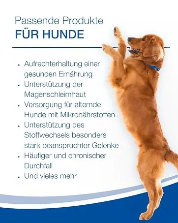 Nutrilabs Geridex tablets for senior dogs 60 pcs.- Senior tablets for dogs with glucosamine hawthorn and much more - product information 3