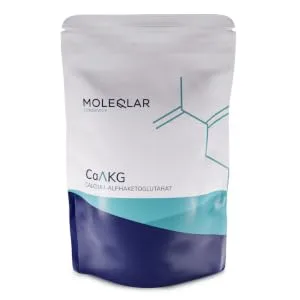 Moleqlar CAAKG powder high -dose - storage pack (100 grams for 100 days) vegan premium calcium alphaketoglutarate - 1000 mg calcium -AKG per portion - laboratory test in DE - AKG Pulver