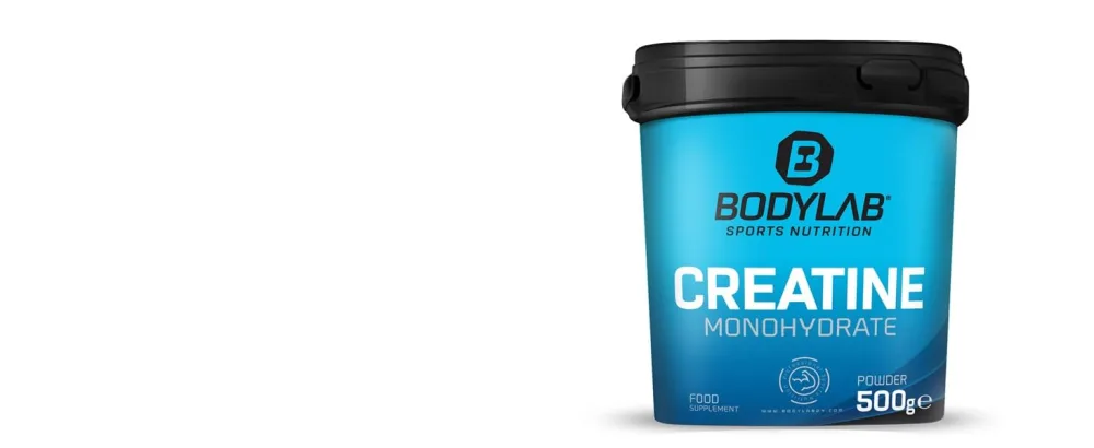 Bodylab24 Whey Protein Powder Rice Pudding-Cinnamon 2kg Rice Pudding-Cinnamon 2 kg (1 pack) - Bodylab24 creatine monohydrate 500g pulver