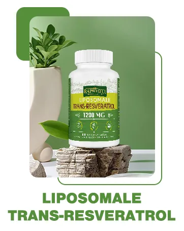 Liposomal astaxanthin soft capsules 24mg per portion strong antioxidant formula as Vit C excellent absorption (360 pieces (6-pack)) - Rapsdayci