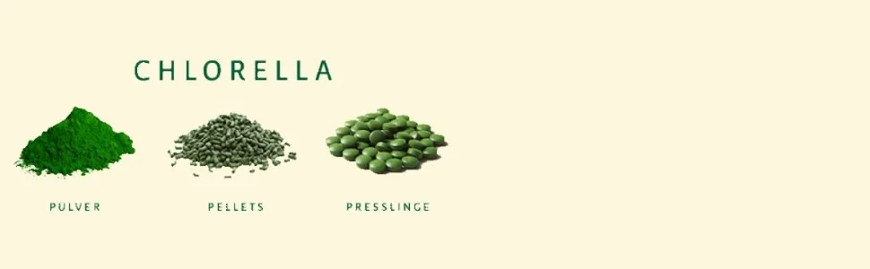 Chlorella tablets from Germany - Premium Chlorella Algae Pressenges - Chlorella Vulgaris Tabs Roh Vegan Pure and Control - Clorella Tablets |Algomed 1-pack (1x 1000g / 1kg) - chlorella deutschland pulver algen alge pyrenoidosa clorella vulgaris chorella deutsche produktion