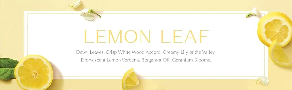 Thymes Hand Wash - 9 Fl Oz - Lemon Leaf - Lemon Leaf