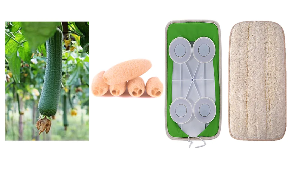 Back Scrubber for Shower, Hands-Free Natural Back Loofah for Shower 1 set - product information 3