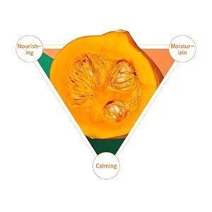 SKIN1004 Pumpkin Pack(1box -16ea) |Anti-Wrinkle Care Solutions - pumpkin extract