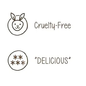 Dr. Ginger's Mouthwash Tablets, 0.75 oz Tin, 60 Tablets - Cruelty-Free, Delicious