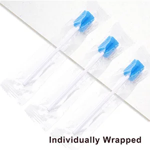 Wellgler's Sterile Sponge Mouth Swabs,Disposable Oral Swabs,Individually Wrapped (100pcs,sky blue) Plum shape sky blue 100 - INDIVIDUALLY WRAPPED