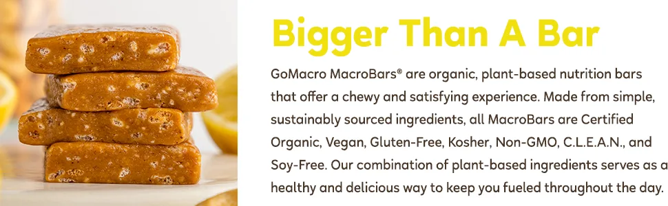 GoMacro MacroBar Organic Vegan Protein Bars - Lemon + Lemon (2.3 Ounce Bars, 12 Count) - LEM Product