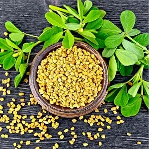 Carlyle Fenugreek Capsules 3000 mg | 300 Count | Non-GMO & Gluten Free Extract | Fenugreek Seeds - product information 7