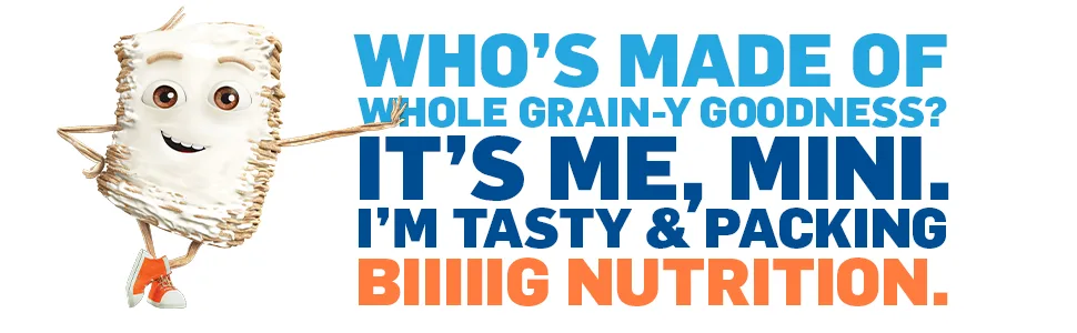 Kellogg's Frosted Mini Wheats Breakfast Cereal, Whole Grain, High Fiber Cereal, Bulk Pantry Staples, Original, 18 Ounce (Pack of 4) - Frosted Mini Wheats