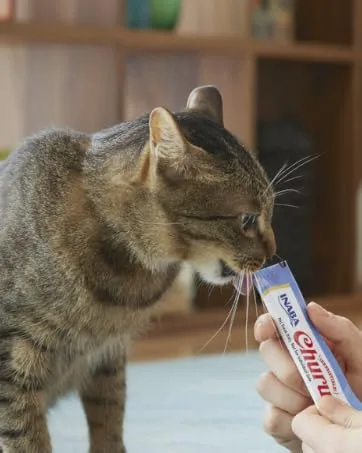 Inaba Churu Puree Katzensnacks - Cat paste to feed from the hand - Cat sticks with tuna & shrimp - 4 sticks x 14 g tuna & shrimp 4 pieces (1 Pack) - katzensnacks, katzen, Churu, INABA, Ciao