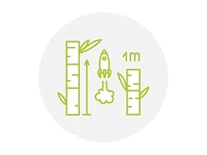 Nature Nerds - small bamboo toothbrushes for children in a set (pack of 4) / Hardness: soft Children's toothbrushes set of 4 - bambus vorteile